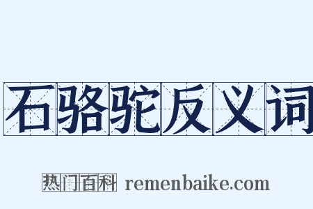 石骆驼反义词是什么意思的图片